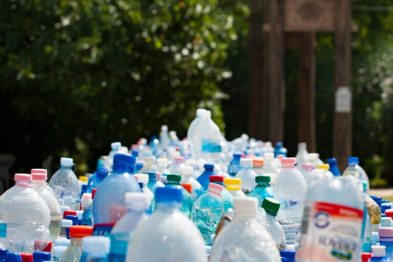 Haushalt ohne Plastik organisieren