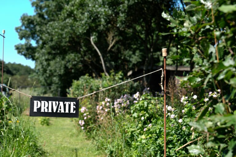 Effektive Methoden zur Unkrautbekämpfung ohne Chemikalien