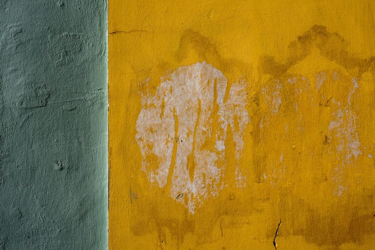 pexels victormoragriega 30284997