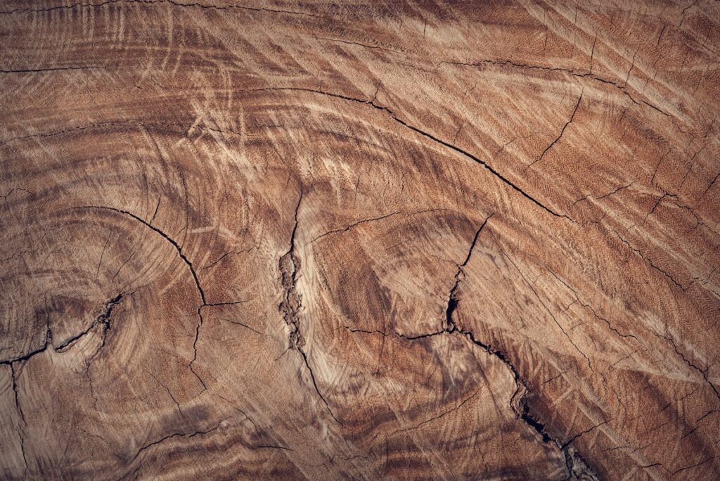 Welche Schritte helfen, um verkratzte Holzböden wieder ansehnlich zu machen