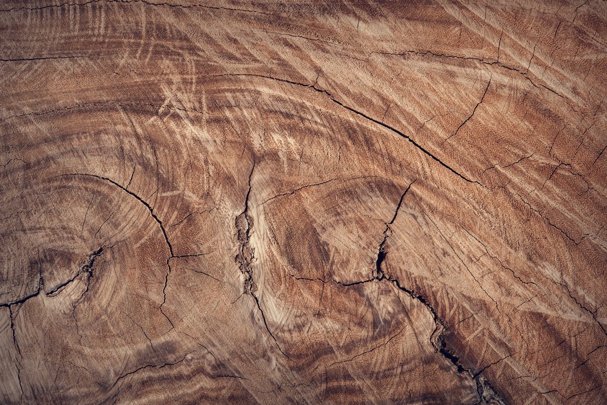 Welche Schritte helfen, um verkratzte Holzböden wieder ansehnlich zu machen